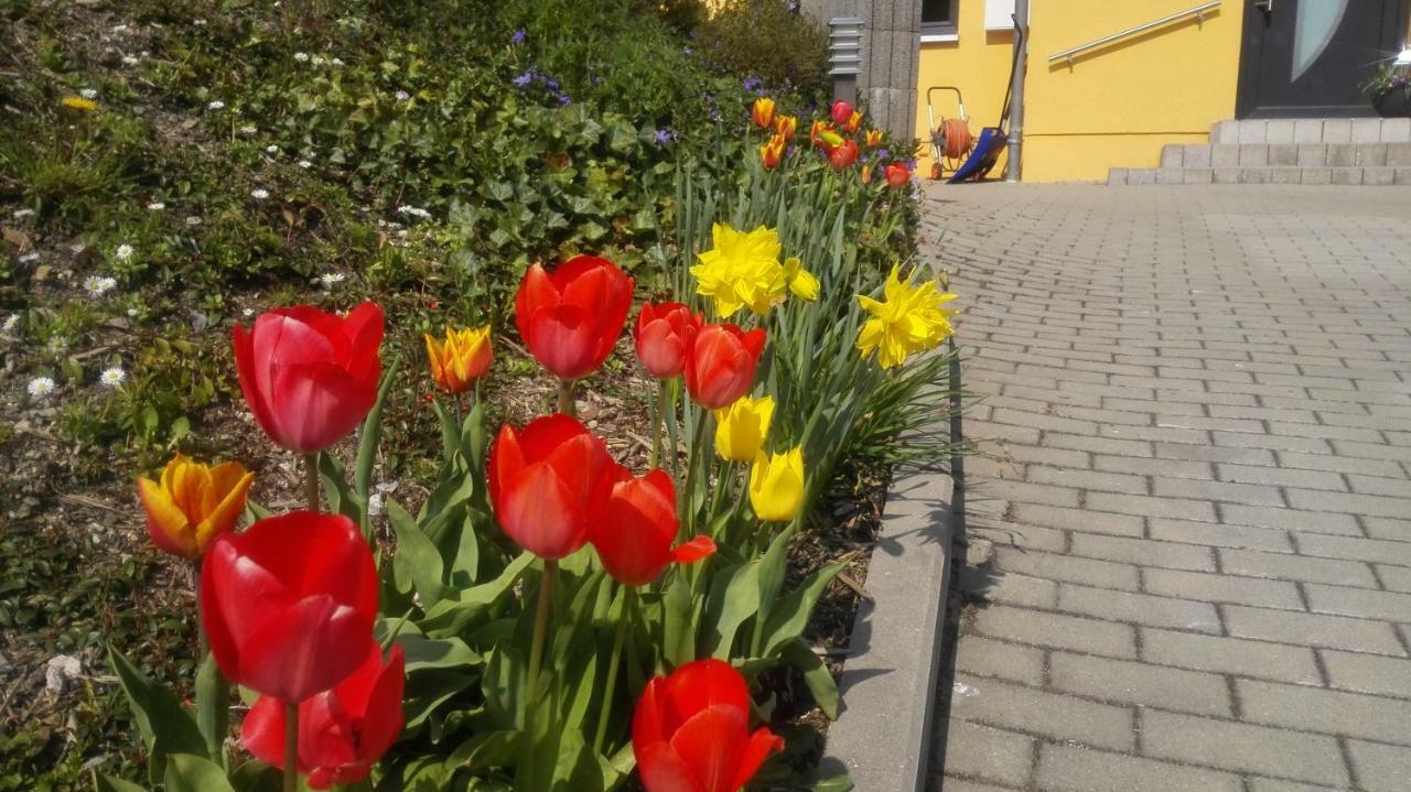 Ferienwohnung Oberpfannenstiel Bernsbach Bagian luar foto